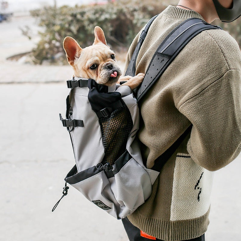 pet dog backpack