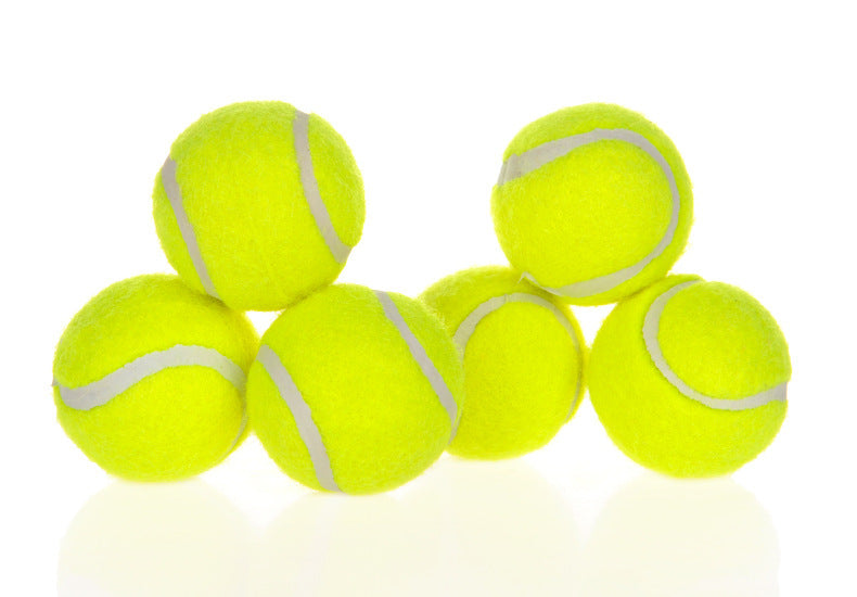 dog pet automatic ball launcher