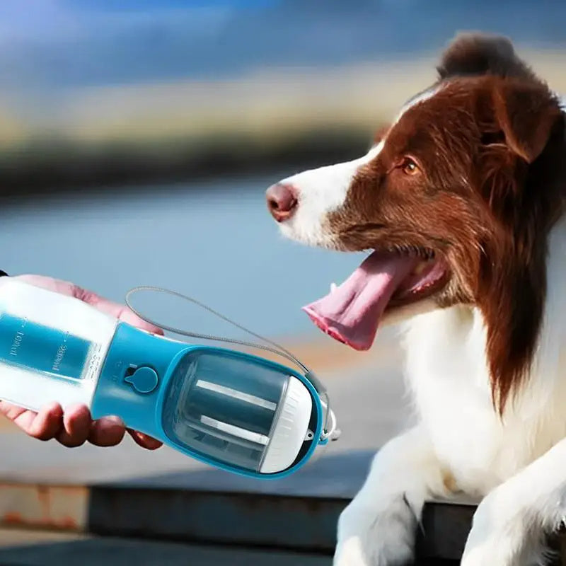 dog water cup
