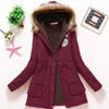 Wine Red / M
